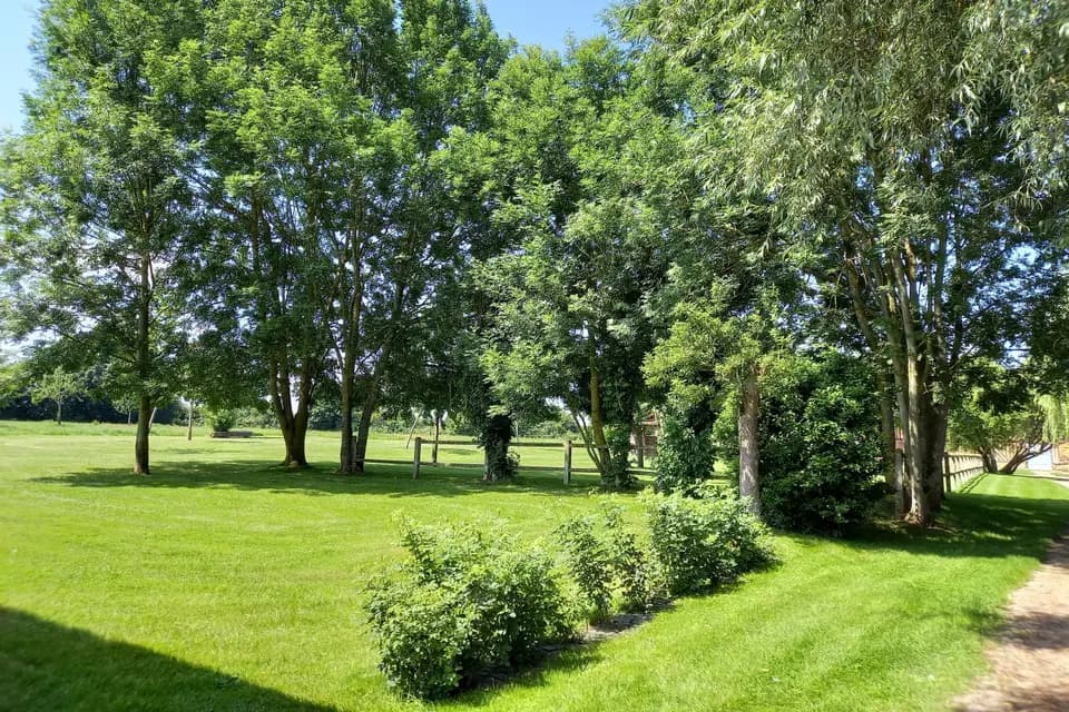 Domaine Le Champ Delaunay — photo 8