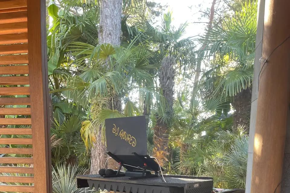 AY Event — photo 3