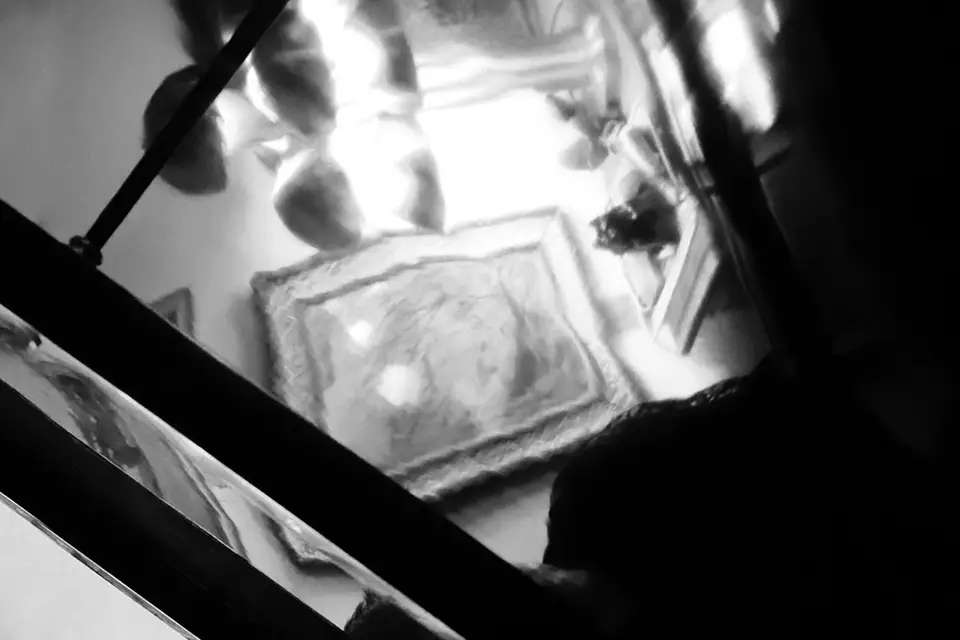 Jolie Lens — photo 8