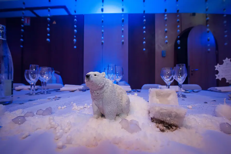 White Pearl Création — photo 7