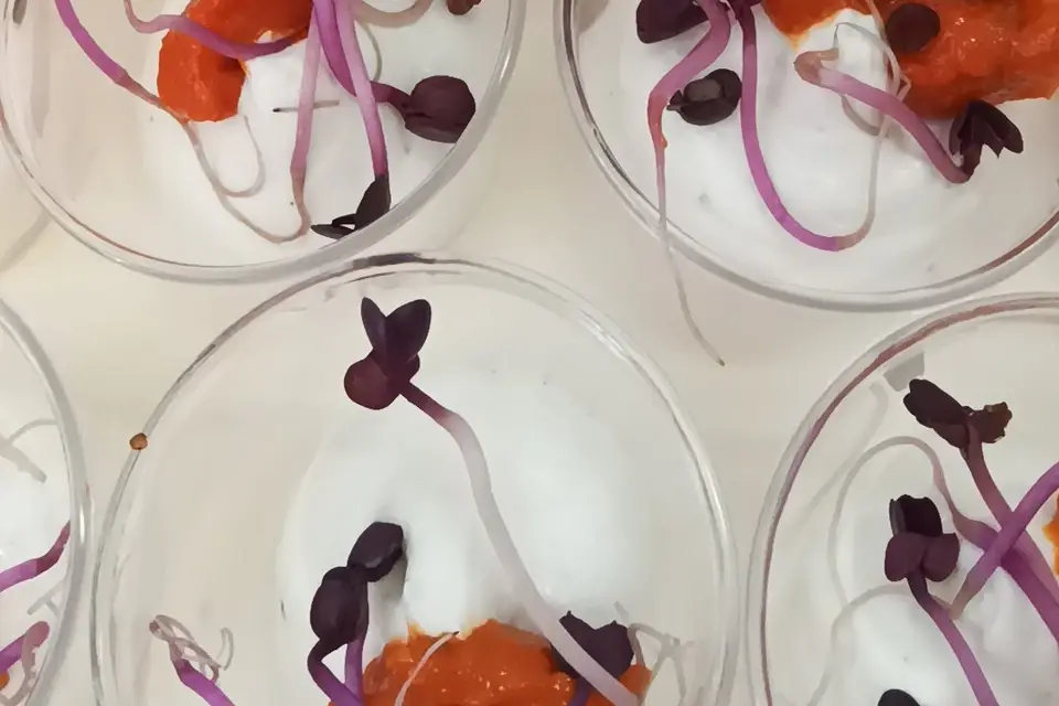 Traiteur La Varoise — photo 6