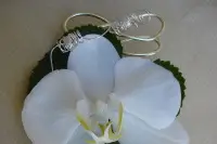 FLEURICI — photo 8