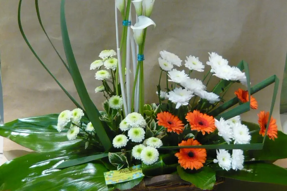 FLEURICI — photo 6