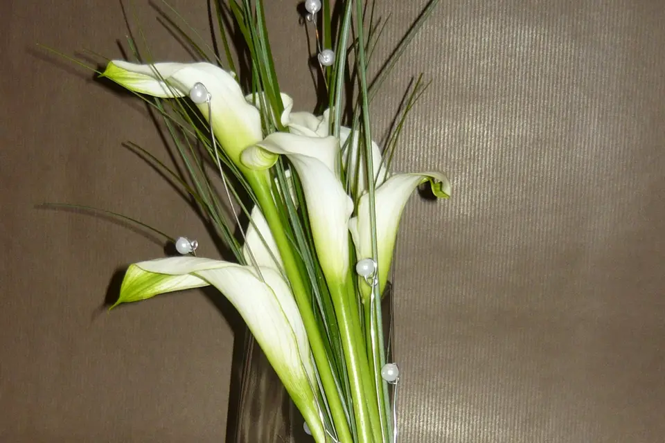 FLEURICI — photo 1