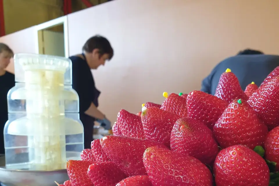 L’événement On Track — photo 5