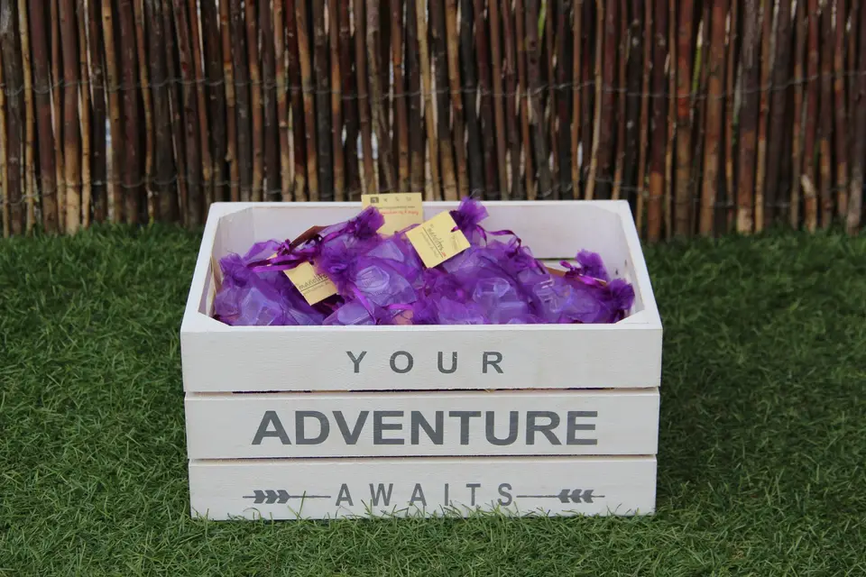 Les Manolitos — photo 6