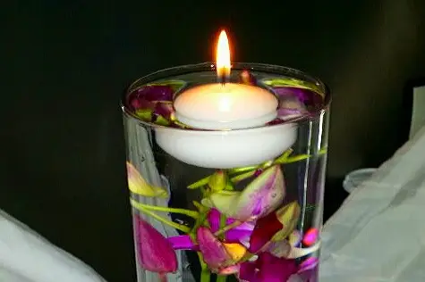 La roseraie du bonheur — photo 2