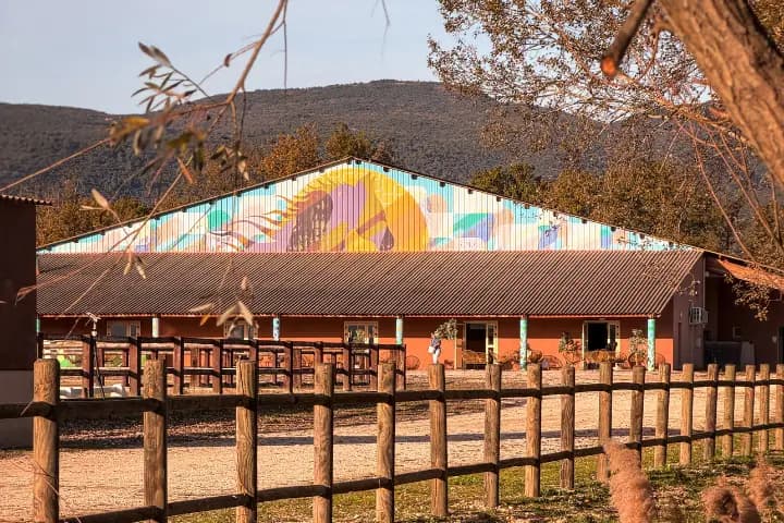 Moucans Events — photo 6