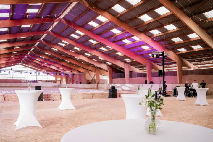 Moucans Events — photo 8