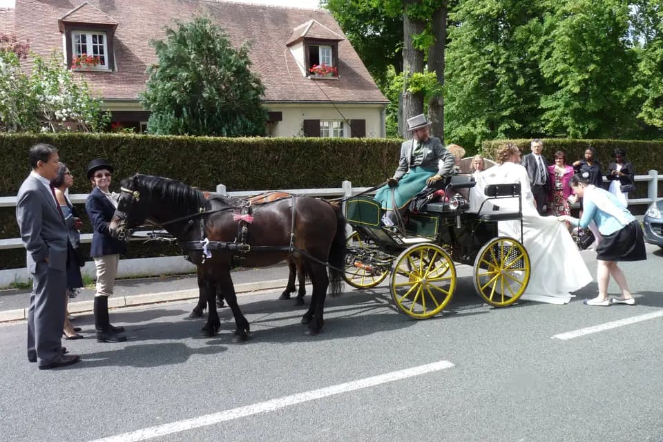 Mariage en Calèche - Nonette-Cuirs — photo 3
