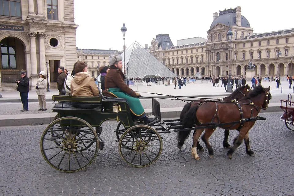 Mariage en Calèche - Nonette-Cuirs — photo 8