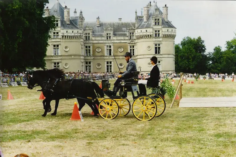 Mariage en Calèche - Nonette-Cuirs — photo 4