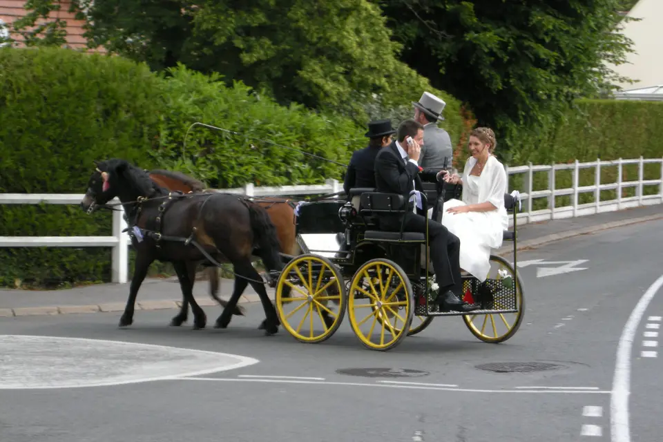 Mariage en Calèche - Nonette-Cuirs — photo 1