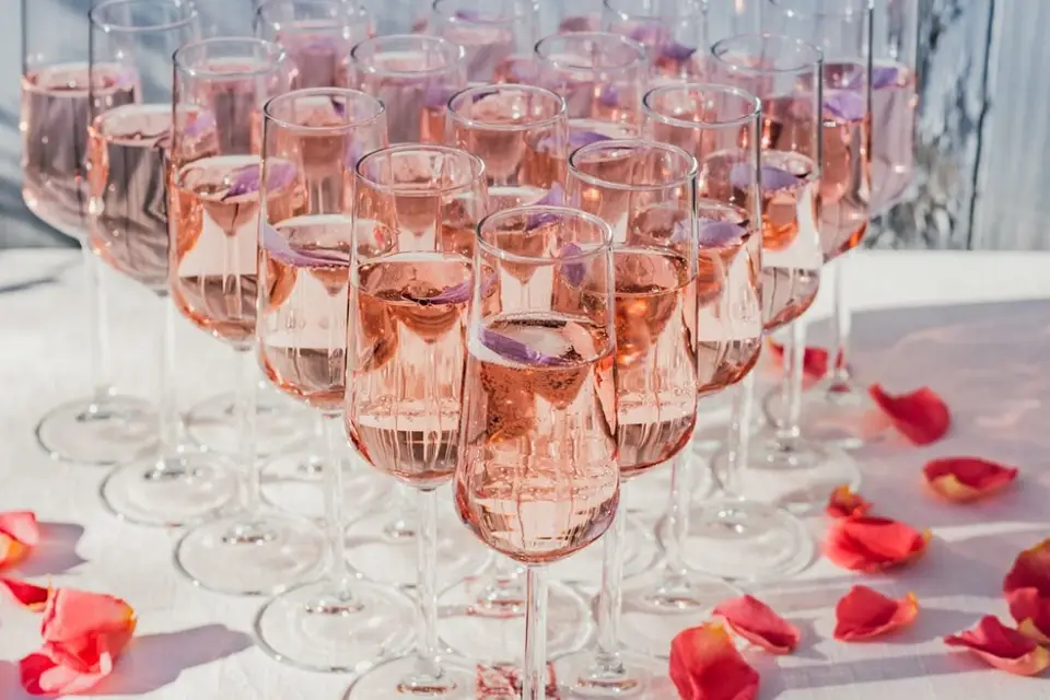 Verveine en Provence — photo 5