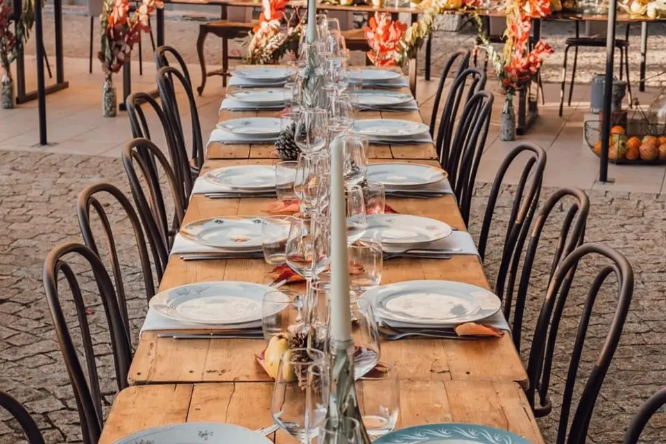 Verveine en Provence — photo 8