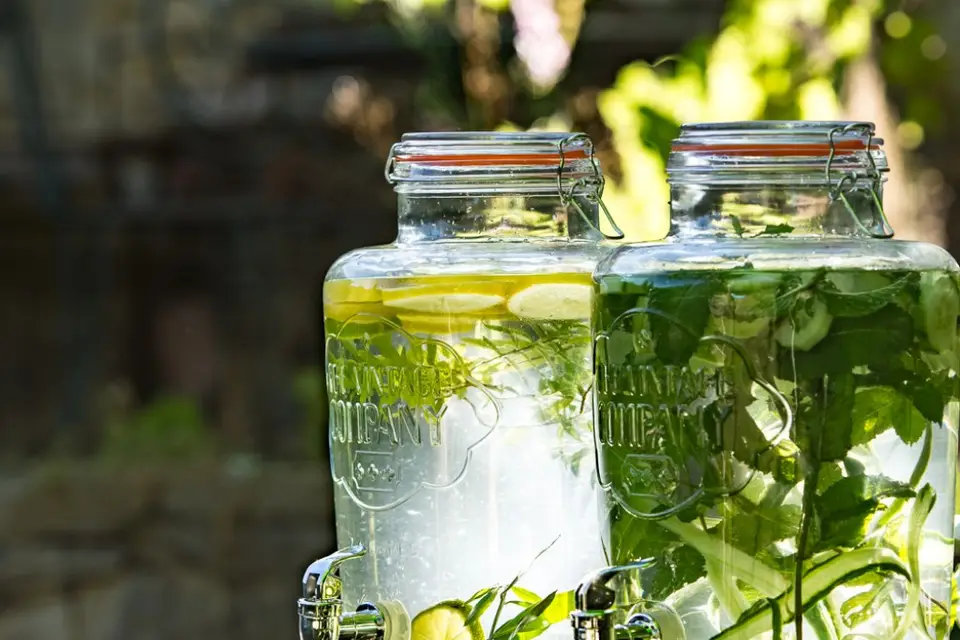 Verveine en Provence — photo 9