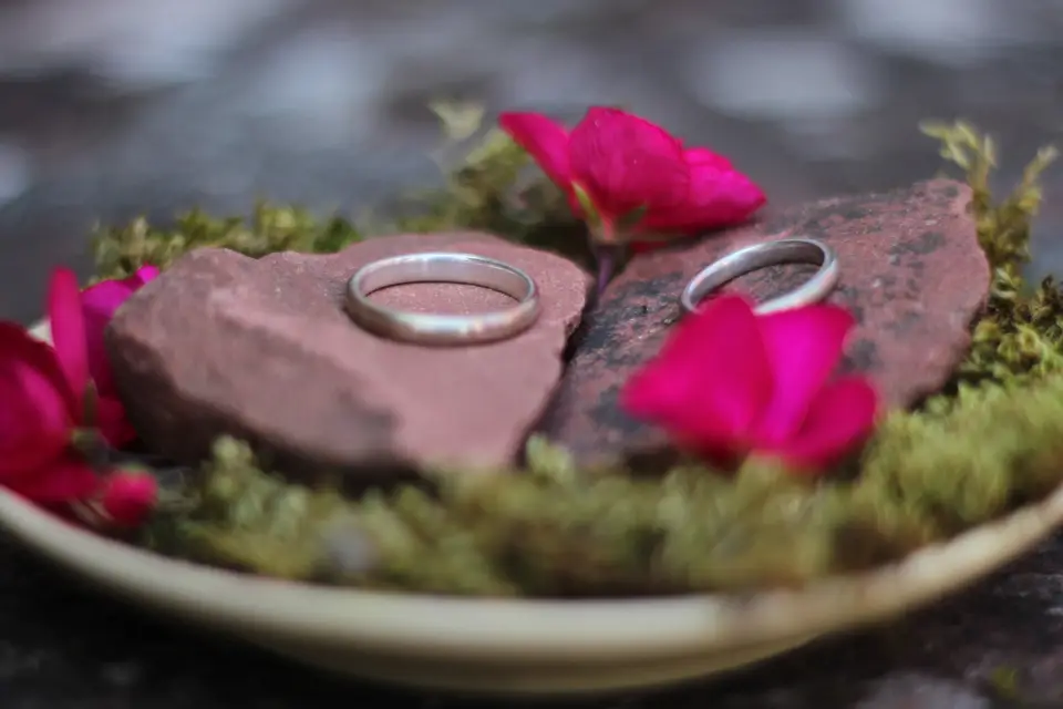 Calliope — photo 6