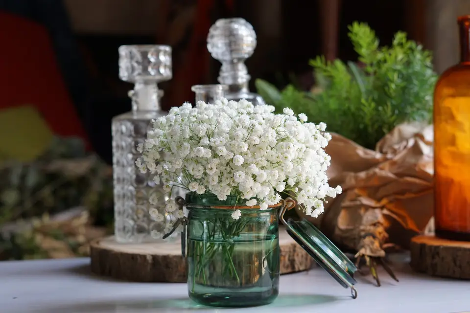 Trouvaille — photo 7