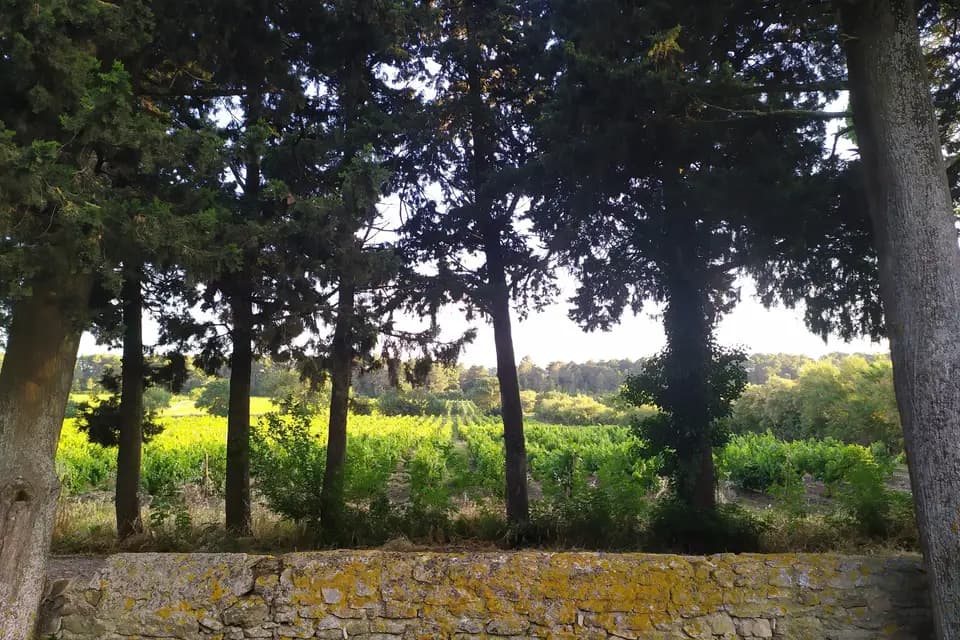 La Bastide Rougepeyre — photo 3