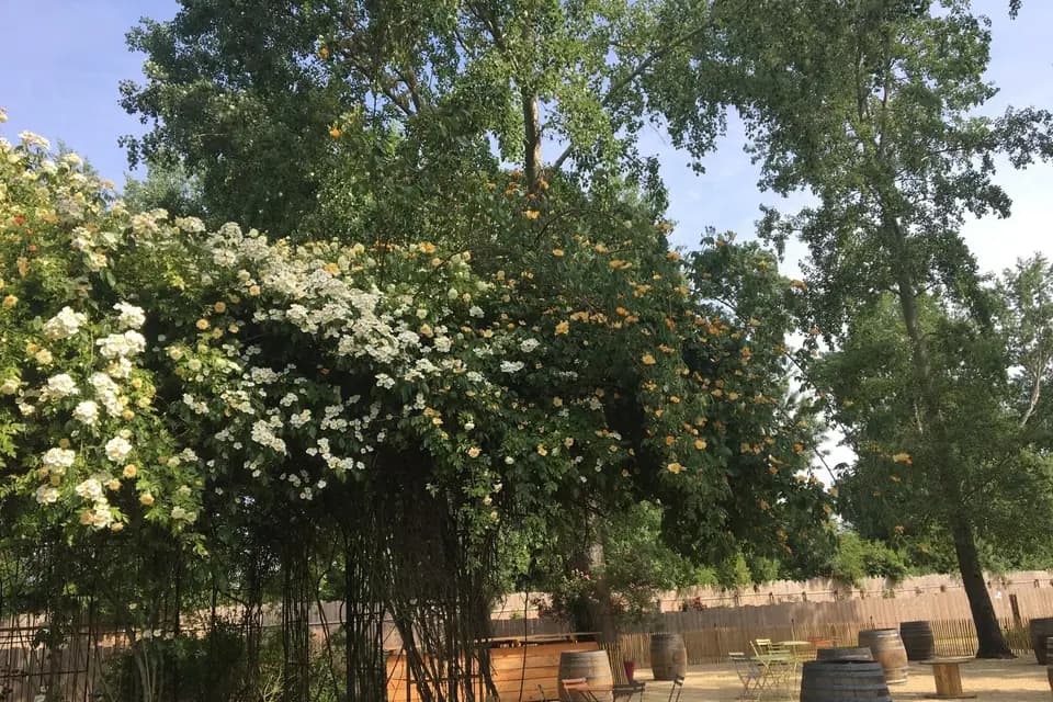 Les Chemins de la Rose — photo 3