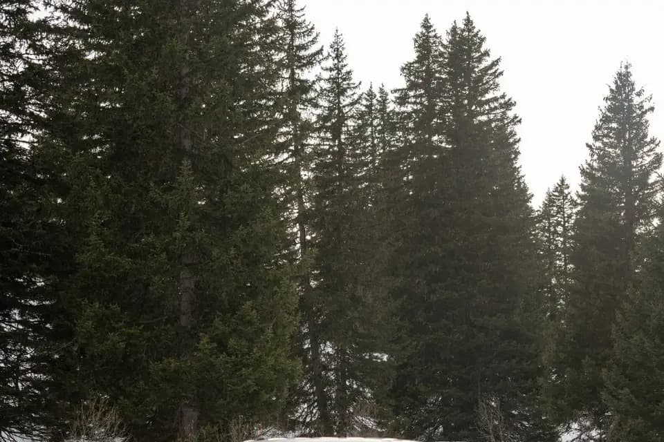 Hustle Company — photo 4