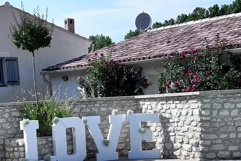 Delphine Wedding — photo 4