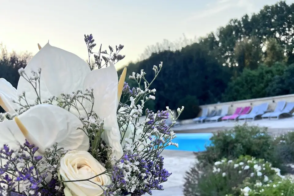 Delphine Wedding — photo 3