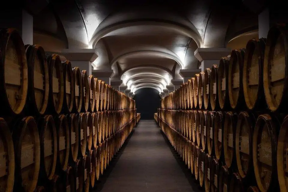 Caves & Vin - Évents — photo 7