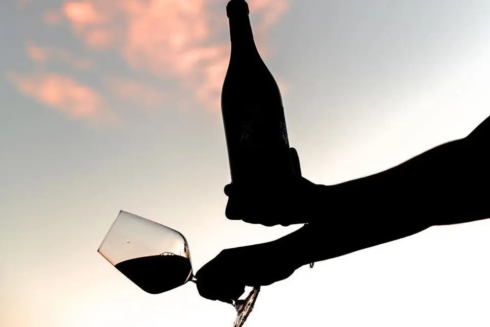 Caves & Vin - Évents — photo 8