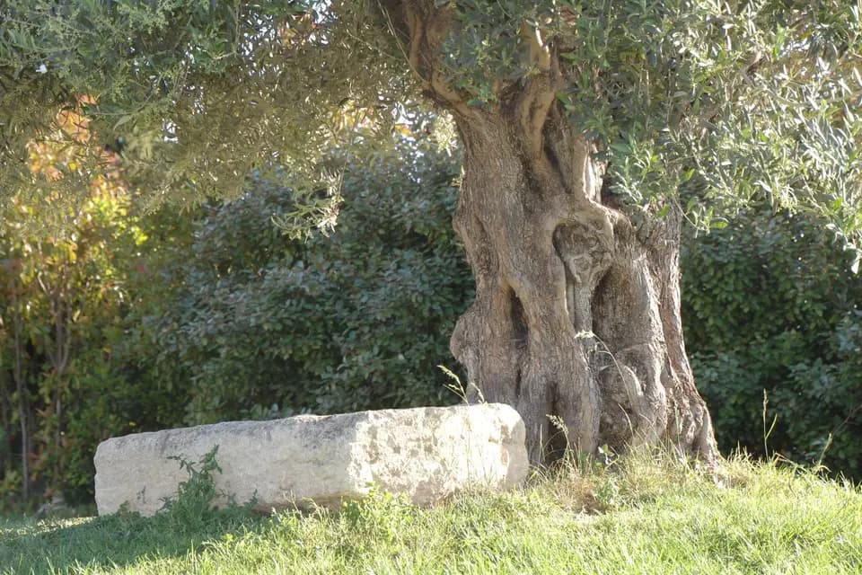 La Salle de l'Espillier — photo 8