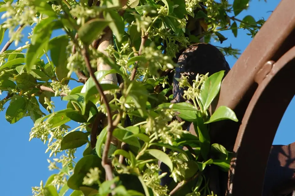 La Salle de l'Espillier — photo 7