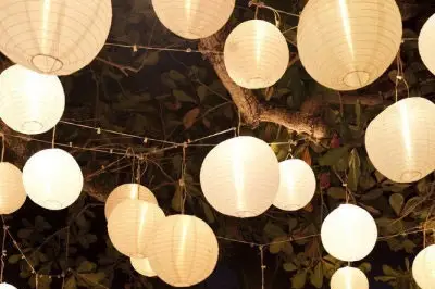 Wedding Joy — photo 5