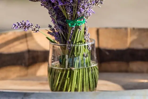 La Salle de l'Espillier — photo 6