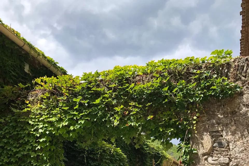 Restaurant l'Abeuradou - Château du Rey — photo 3