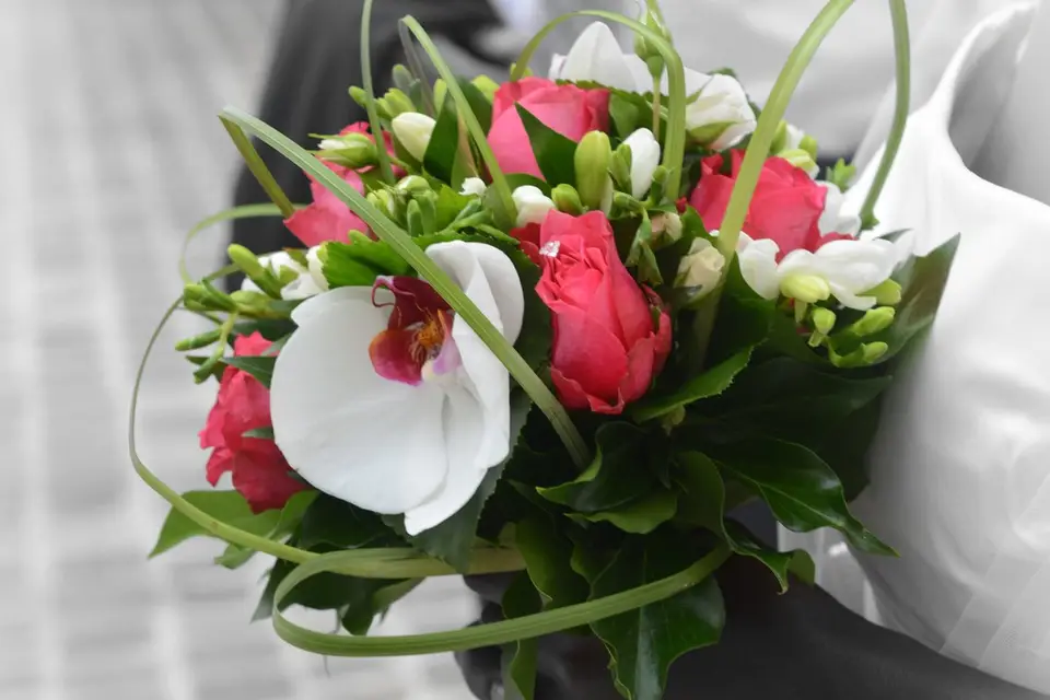 Flora-Line — photo 4