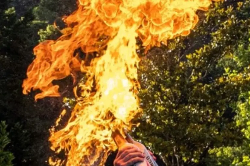 Tomas Events — photo 3