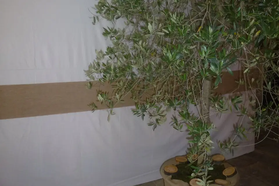 So-Interior — photo 7