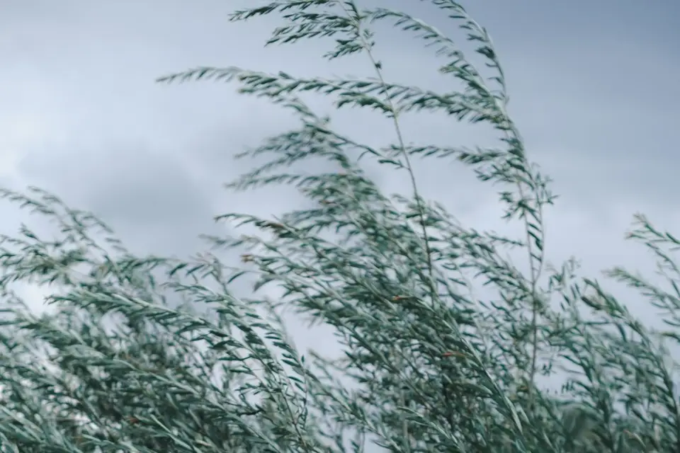 Le conte de la Fée Wedding — photo 3