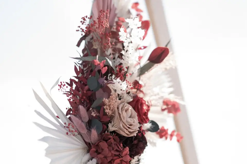 Soph’inspi — photo 8