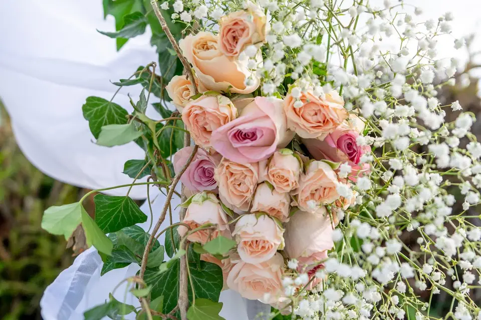 Anne Lebret Pictures — photo 7