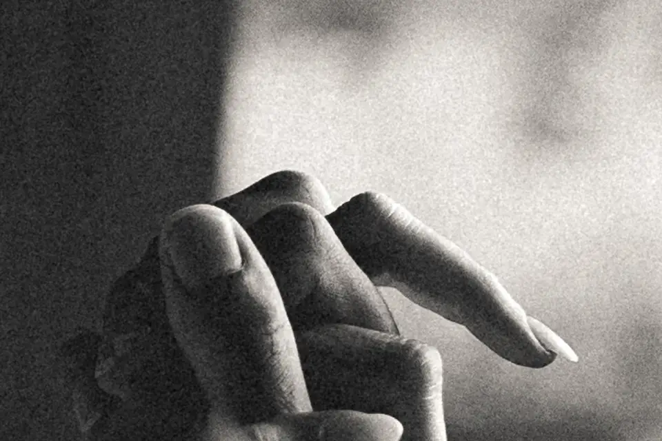 Ohana Galerie — photo 6