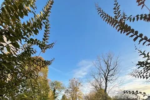 Le Clos de Bourgogne — photo 3