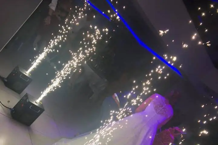 Studios Swing Cat — photo 4