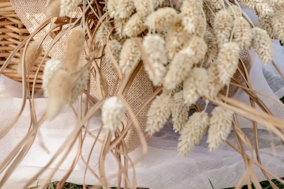 Marine Emma Photographie — photo 7