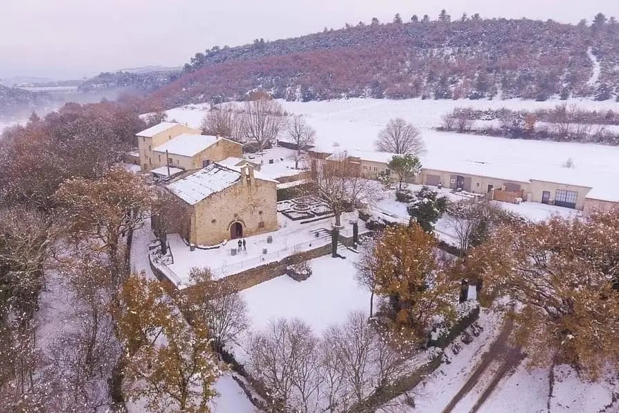 Domaine de Saint Bacchi — photo 7