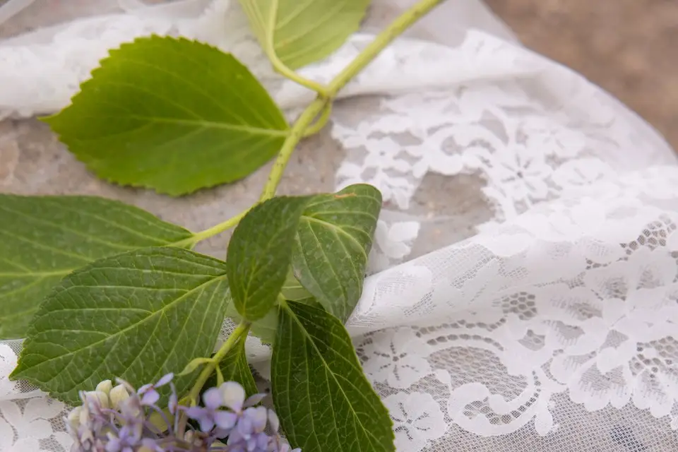 Icône Wedding — photo 3