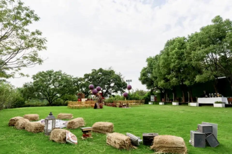 La bonne paille — photo 3