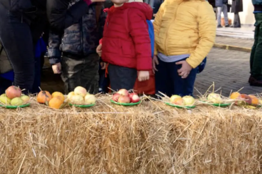 La bonne paille — photo 6