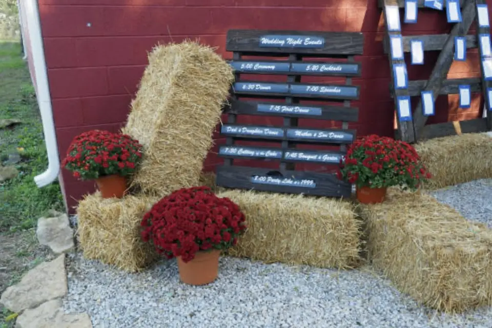 La bonne paille — photo 7