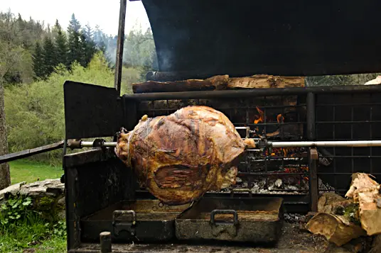 Domaine de Fohet — photo 7